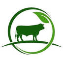 Dmtr logo