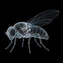 Flybrain logo