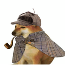 Pipedog logo